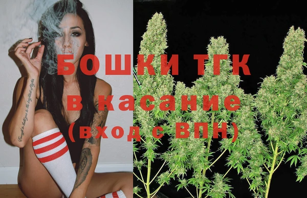 мдпв Няндома