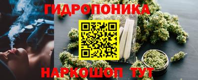 ешки Волжск