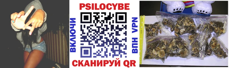 Псилоцибиновые грибы GOLDEN TEACHER Прохладный