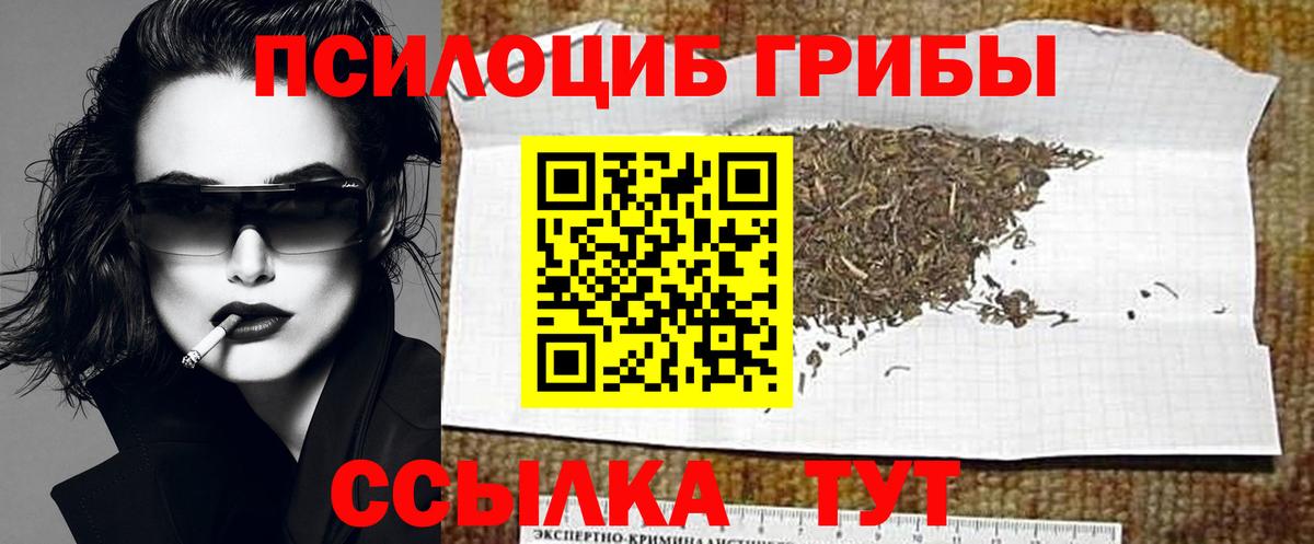Псилоцибиновые грибы Psilocybine cubensis Прохладный