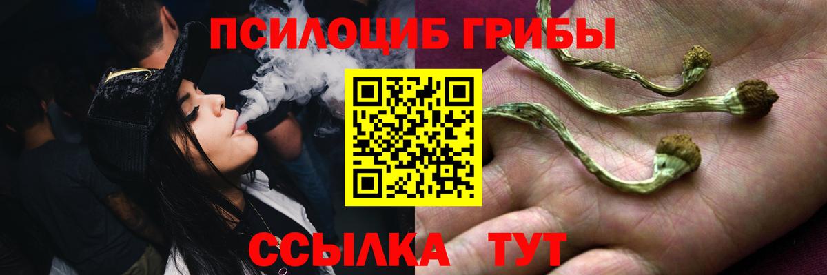 Галлюциногенные грибы мицелий  Прохладный 